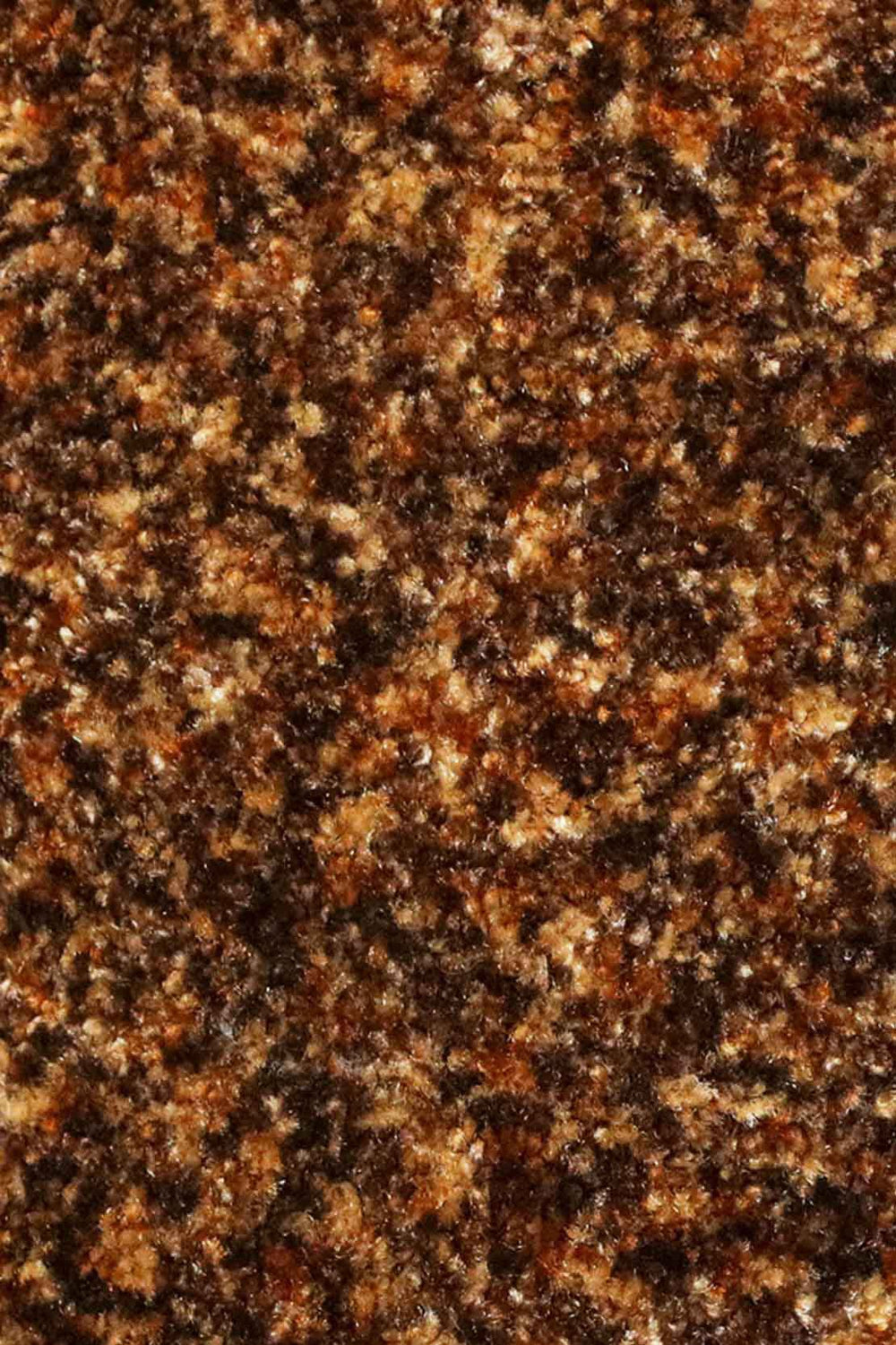 Wall to Wall Carpet Focus 1658 - V Surfaces