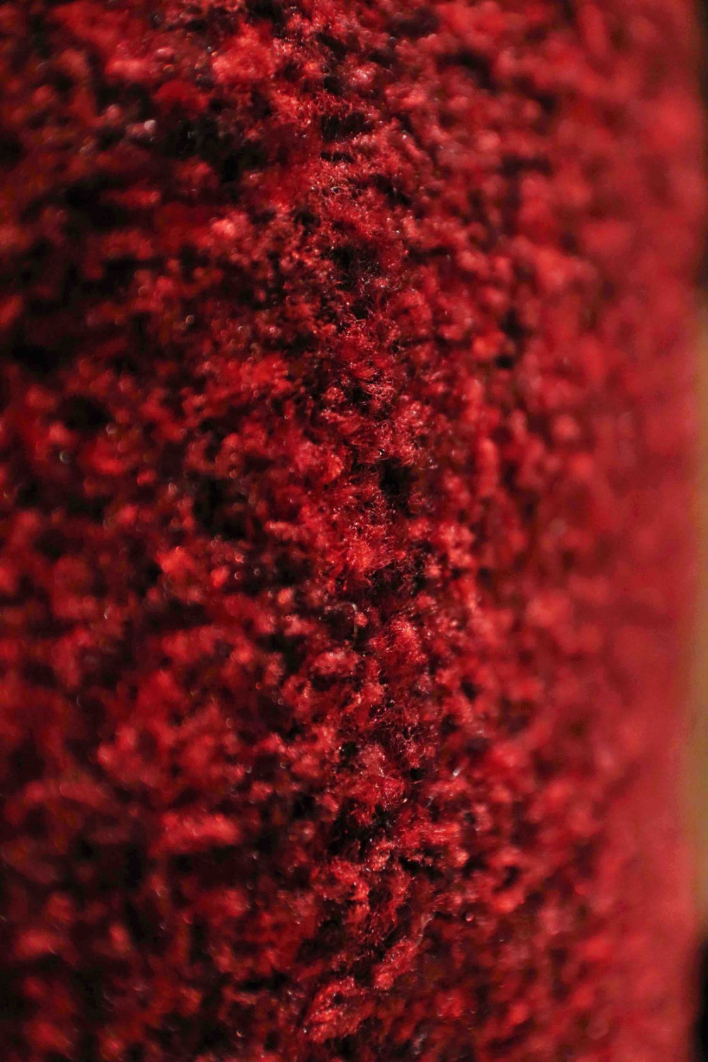 Wall to Wall Carpet Gaza 04 - V Surfaces
