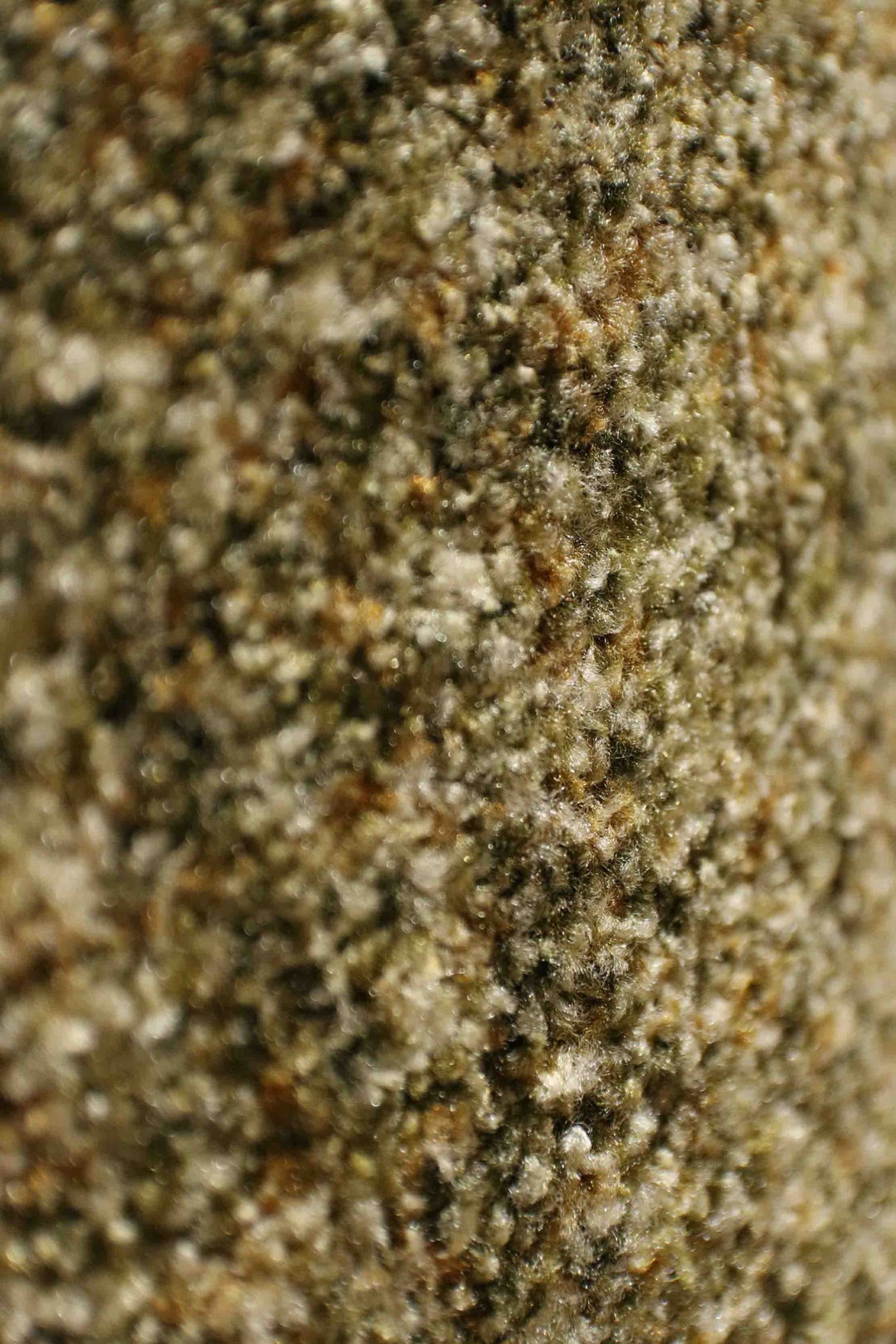 Wall to Wall Carpet Gaza 23 - V Surfaces