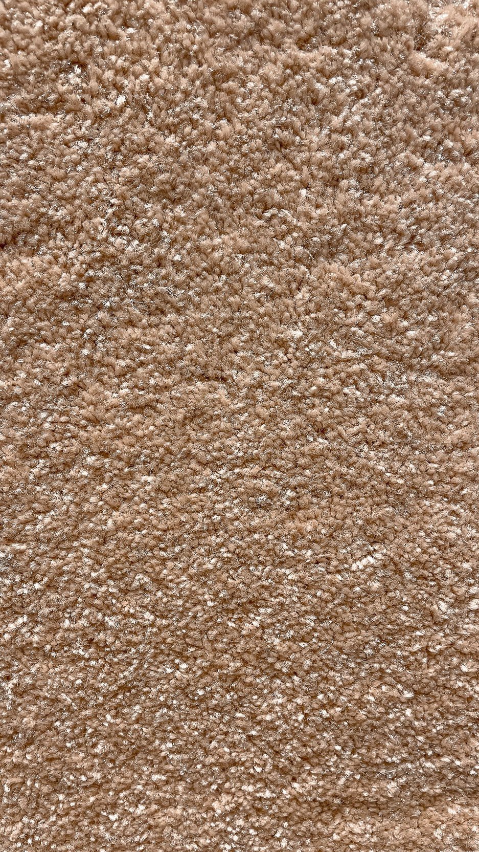 Yasrab 63 - 12 - Foot Wide Wall - to - Wall Carpet - V Surfaces