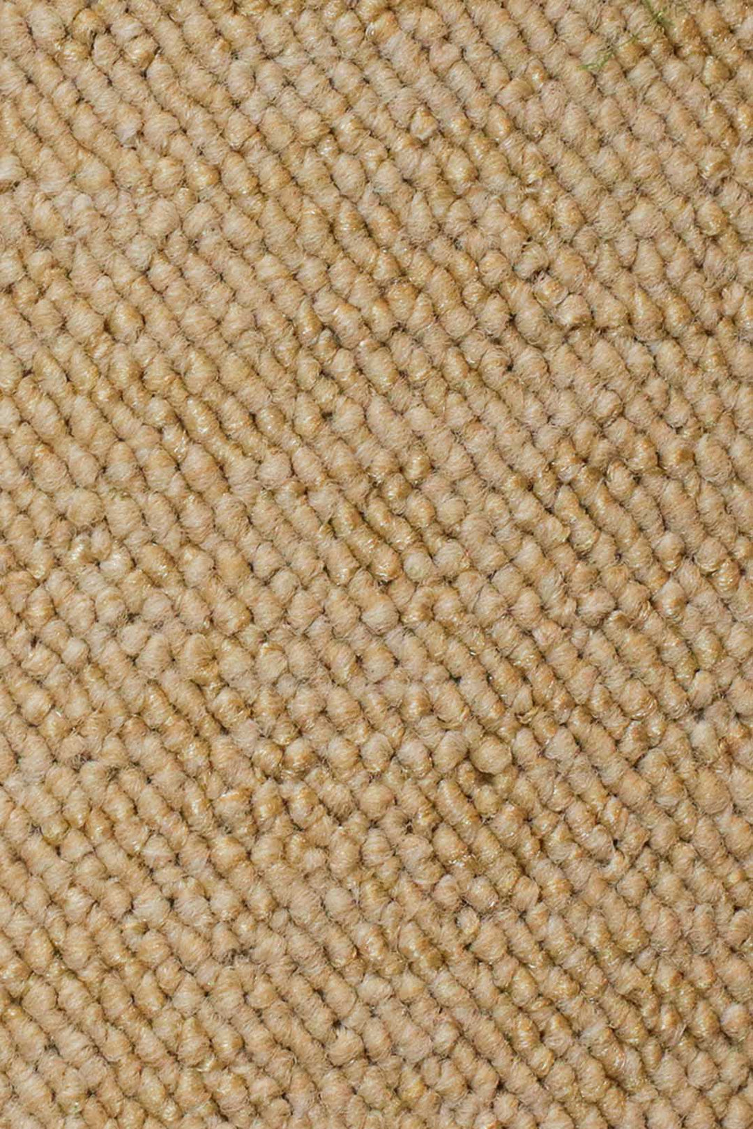 Wall to Wall Carpet Barbar 9016