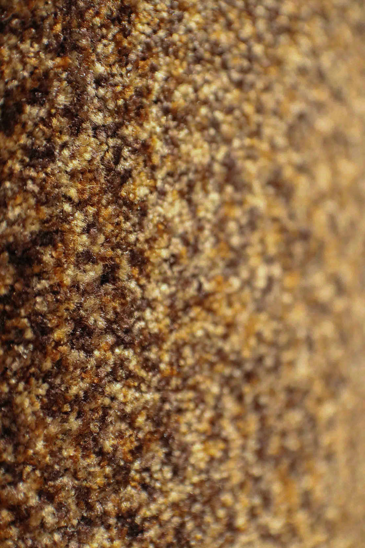 Wall to Wall Carpet Focus 1658